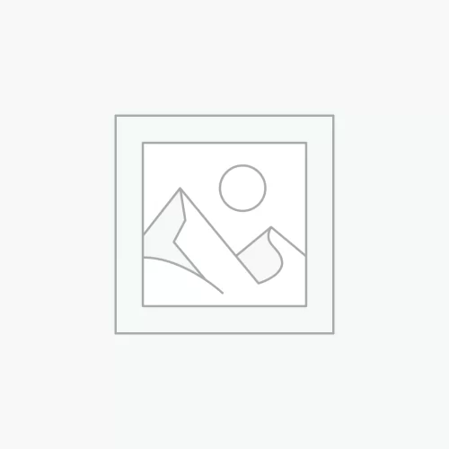 Video Editing Services